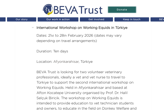 İngiltere Atçılık Federasyonu İle İşbirliği